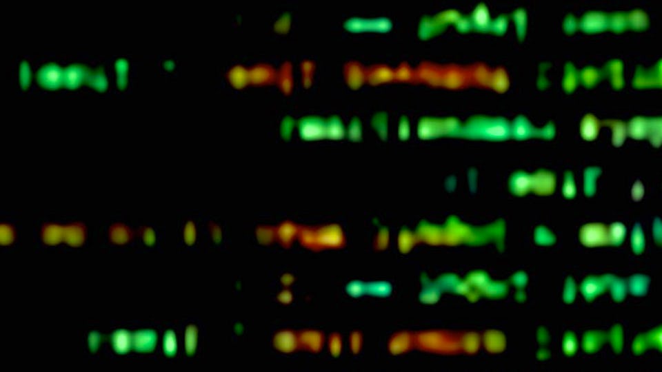 Free Computer Programming Courses Certificates 2025 Coursera Free computer programming courses certificates 2025 coursera